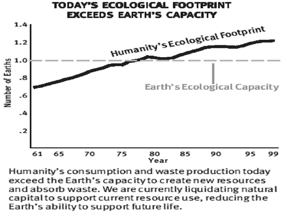 Eco footprint